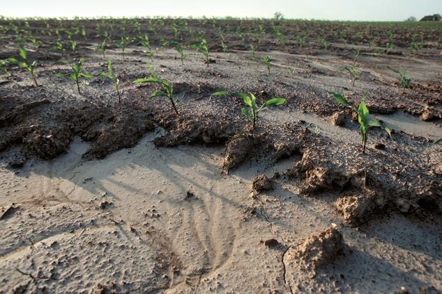 Water erosion is a problem because it washes away topsoil, which contains nutrients that are essential for plant growth.