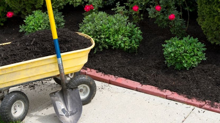 You can create mulch for your garden by recycling wood chips and bark from your local tree service.